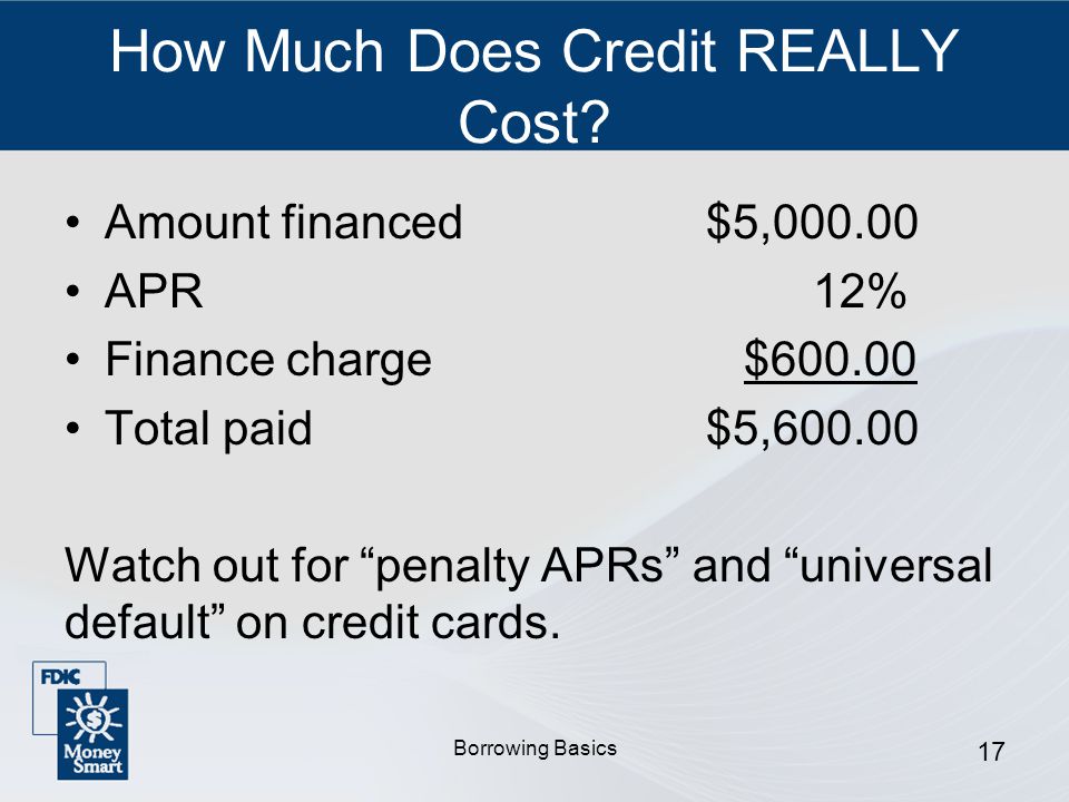Borrowing Basics 17 How Much Does Credit REALLY Cost.