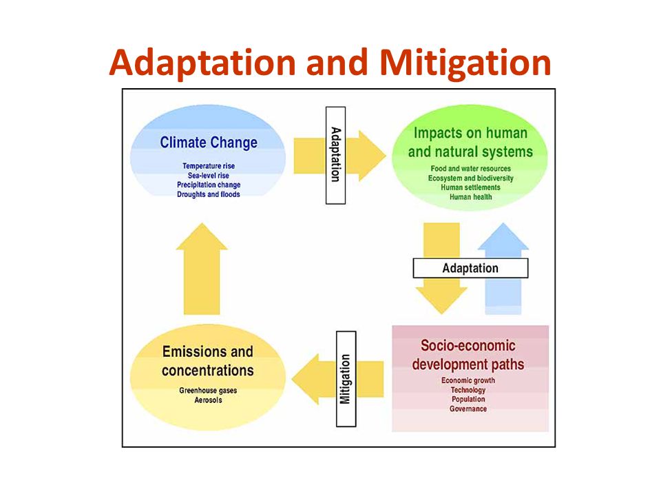 Adaptation and Mitigation