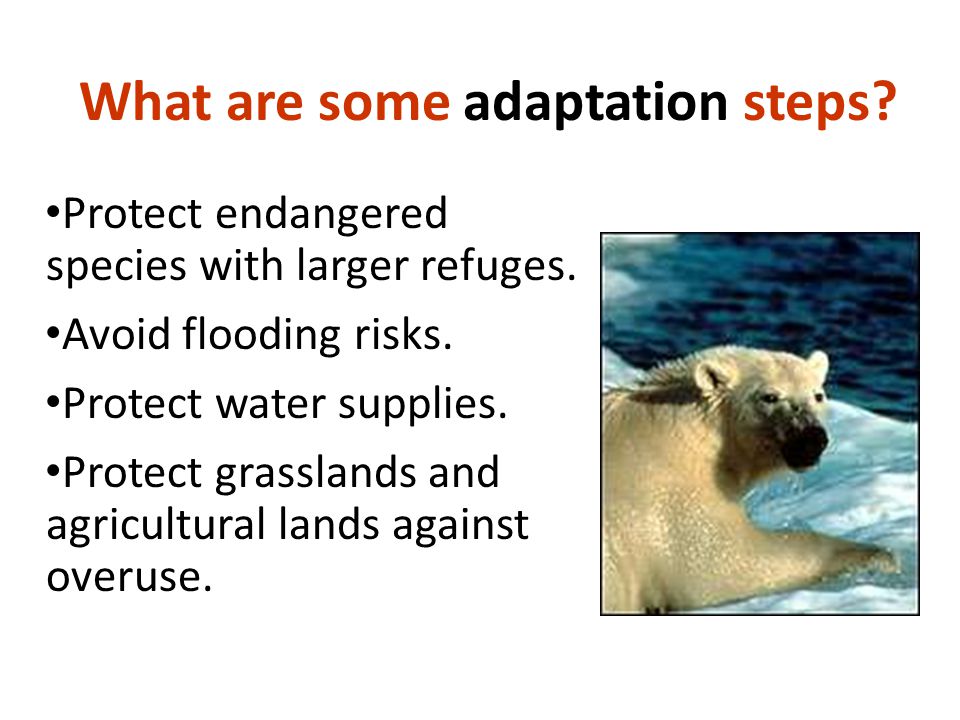 What are some adaptation steps. Protect endangered species with larger refuges.