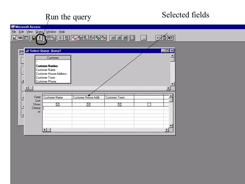 Selected fields Run the query