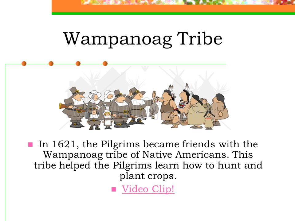 Wampanoag Tribe In 1621, the Pilgrims became friends with the Wampanoag tribe of Native Americans.