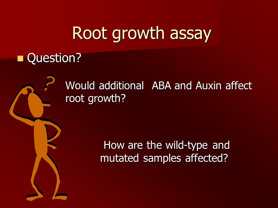Root growth assay Root growth assay Question. Question.
