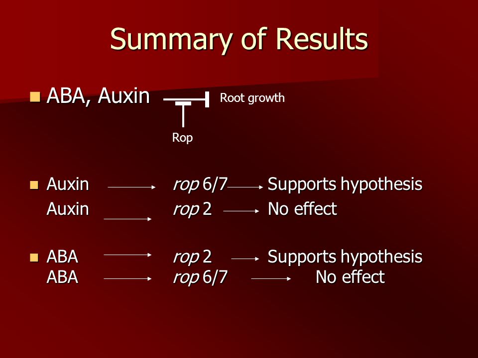 Summary of Results ABA, Auxin ABA, Auxin Auxinrop 6/7Supports hypothesis Auxinrop 6/7Supports hypothesis Auxinrop 2No effect ABArop 2Supports hypothesis ABArop 6/7No effect ABArop 2Supports hypothesis ABArop 6/7No effect Root growth Rop