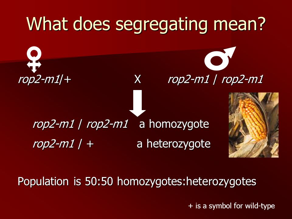 What does segregating mean.