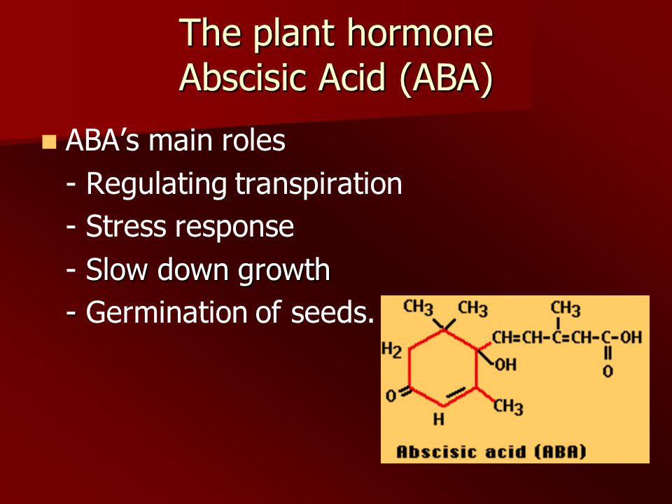 The plant hormone Abscisic Acid (ABA) ABA’s main roles - Regulating transpiration - Stress response Slow down growth - Slow down growth - - Germination of seeds.
