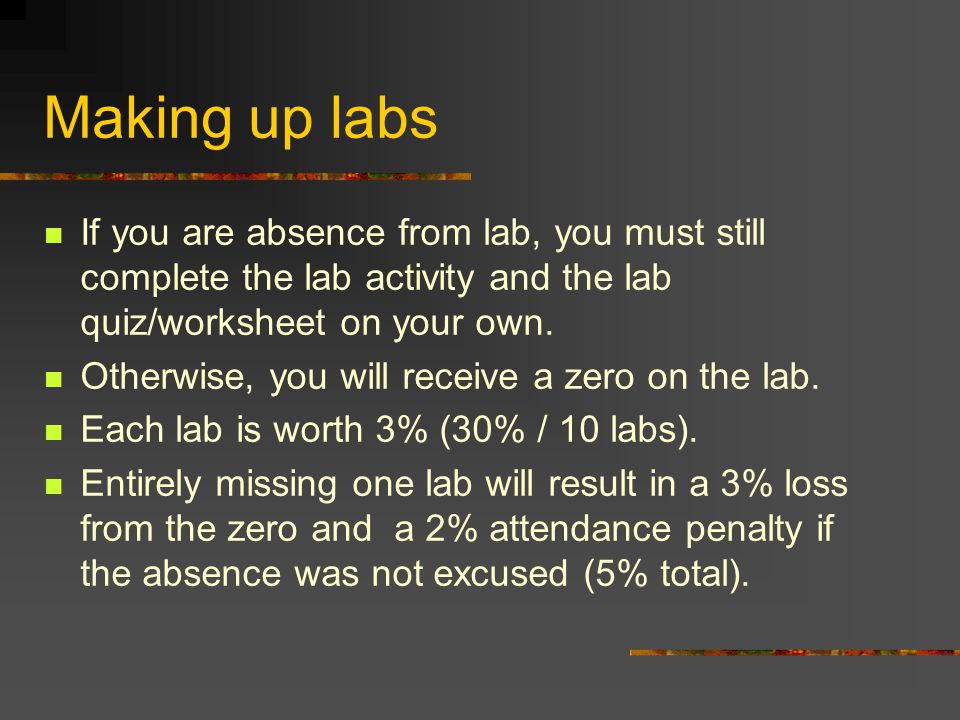 Making up labs If you are absence from lab, you must still complete the lab activity and the lab quiz/worksheet on your own.
