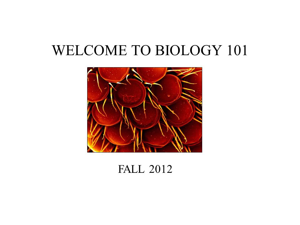 WELCOME TO BIOLOGY 101 FALL 2012