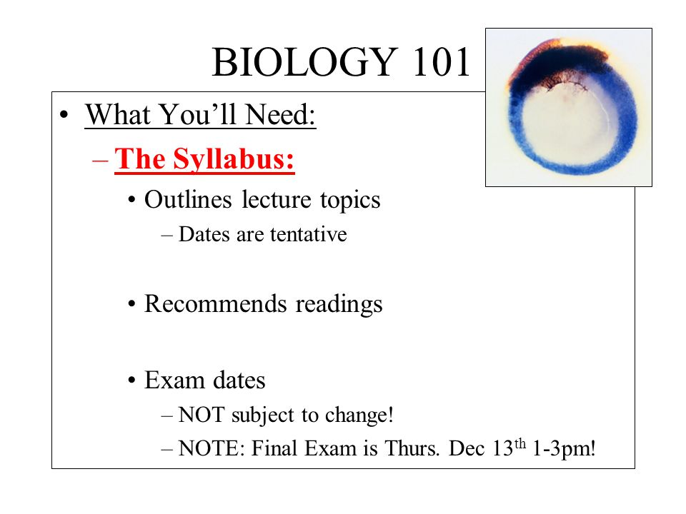 BIOLOGY 101 What You’ll Need: –The Syllabus: Outlines lecture topics –Dates are tentative Recommends readings Exam dates –NOT subject to change.