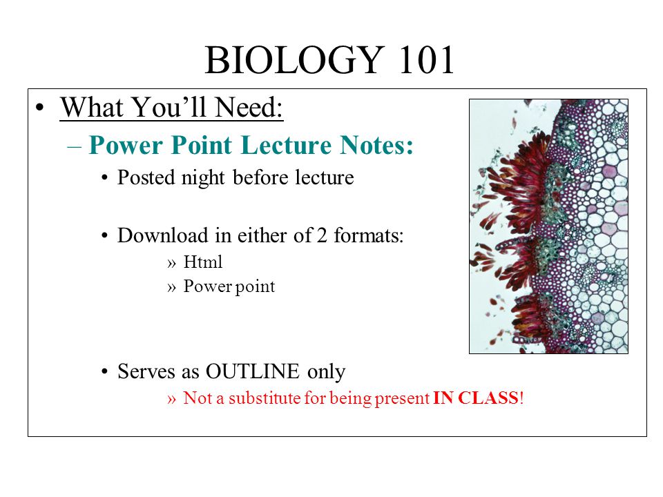 BIOLOGY 101 What You’ll Need: –Power Point Lecture Notes: Posted night before lecture Download in either of 2 formats: »Html »Power point Serves as OUTLINE only »Not a substitute for being present IN CLASS!
