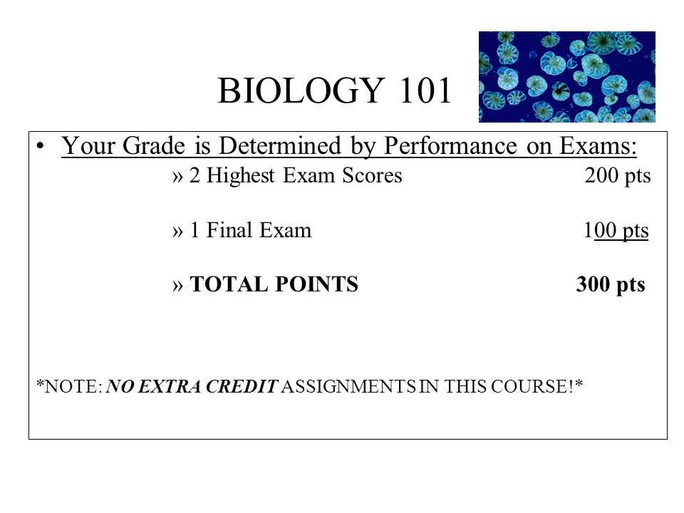 BIOLOGY 101 Your Grade is Determined by Performance on Exams: »2 Highest Exam Scores 200 pts »1 Final Exam 100 pts »TOTAL POINTS 300 pts *NOTE: NO EXTRA CREDIT ASSIGNMENTS IN THIS COURSE!*