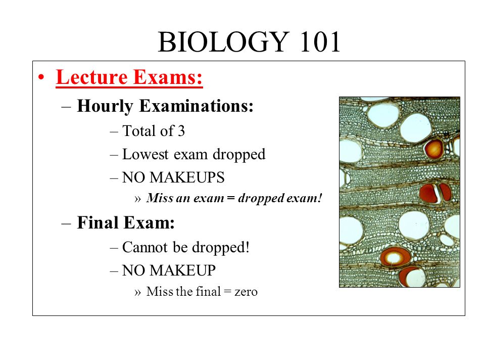 BIOLOGY 101 Lecture Exams: –Hourly Examinations: –Total of 3 –Lowest exam dropped –NO MAKEUPS »Miss an exam = dropped exam.