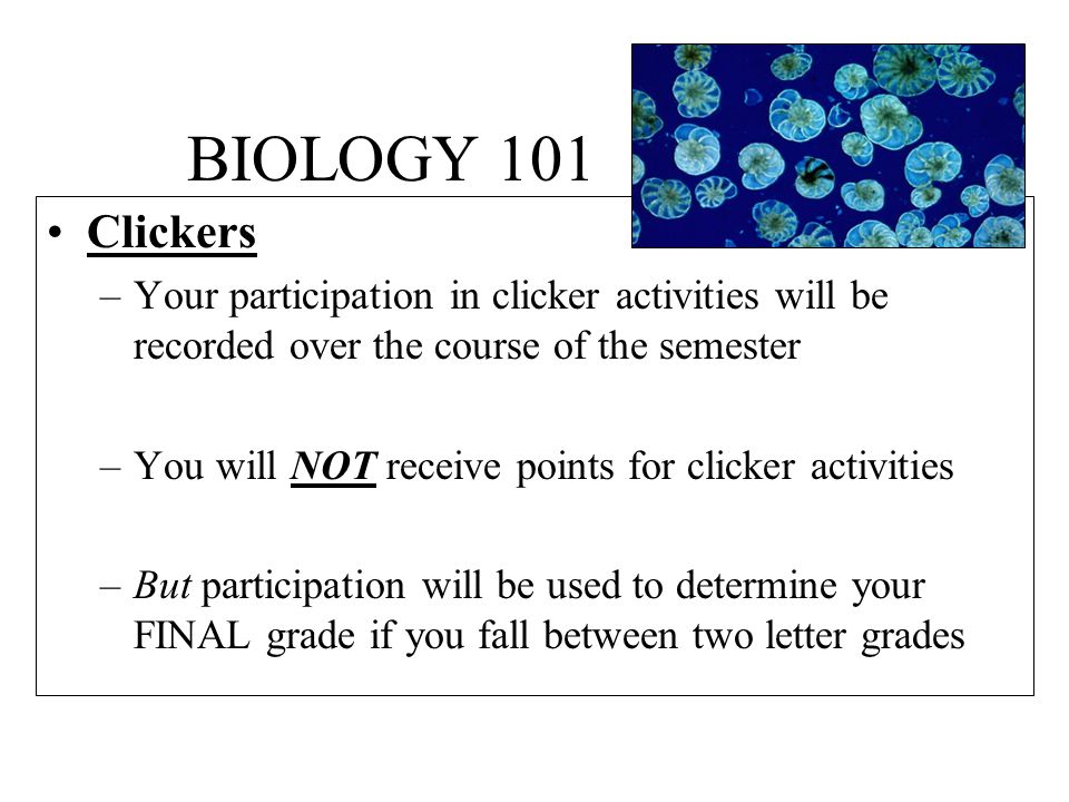 BIOLOGY 101 Clickers –Your participation in clicker activities will be recorded over the course of the semester –You will NOT receive points for clicker activities –But participation will be used to determine your FINAL grade if you fall between two letter grades