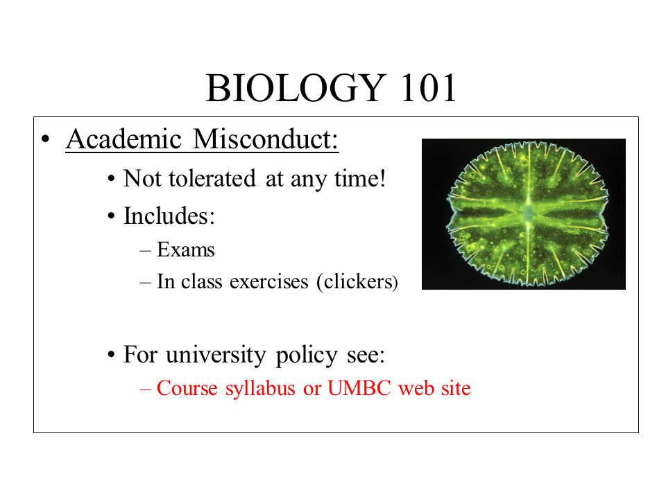 BIOLOGY 101 Academic Misconduct: Not tolerated at any time.
