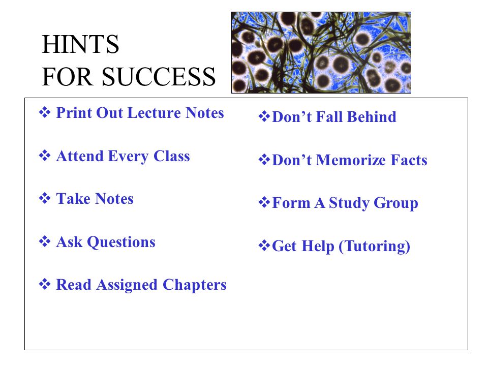 HINTS FOR SUCCESS  Print Out Lecture Notes  Attend Every Class  Take Notes  Ask Questions  Read Assigned Chapters  Don’t Fall Behind  Don’t Memorize Facts  Form A Study Group  Get Help (Tutoring)