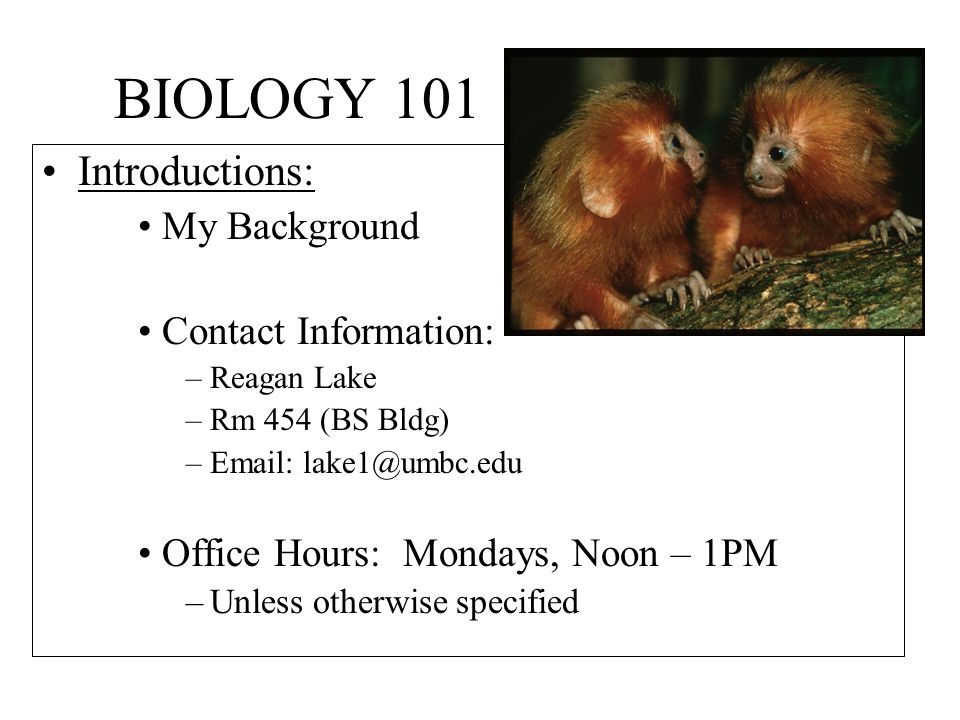 BIOLOGY 101 Introductions: My Background Contact Information: –Reagan Lake –Rm 454 (BS Bldg) –  Office Hours: Mondays, Noon – 1PM –Unless otherwise specified