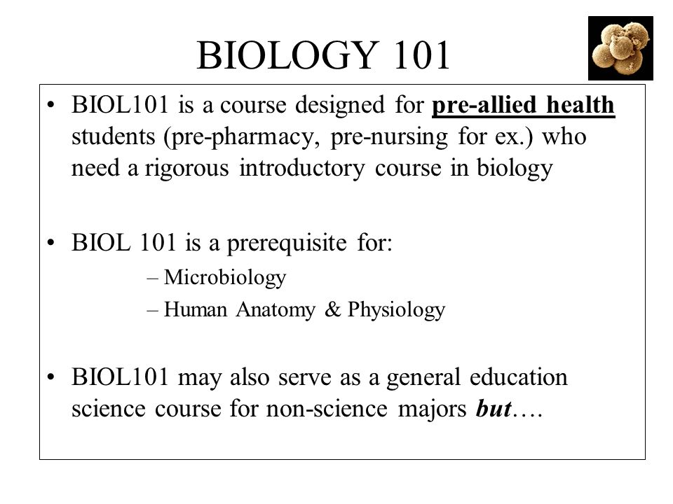 BIOLOGY 101 BIOL101 is a course designed for pre-allied health students (pre-pharmacy, pre-nursing for ex.) who need a rigorous introductory course in biology BIOL 101 is a prerequisite for: –Microbiology –Human Anatomy & Physiology BIOL101 may also serve as a general education science course for non-science majors but….