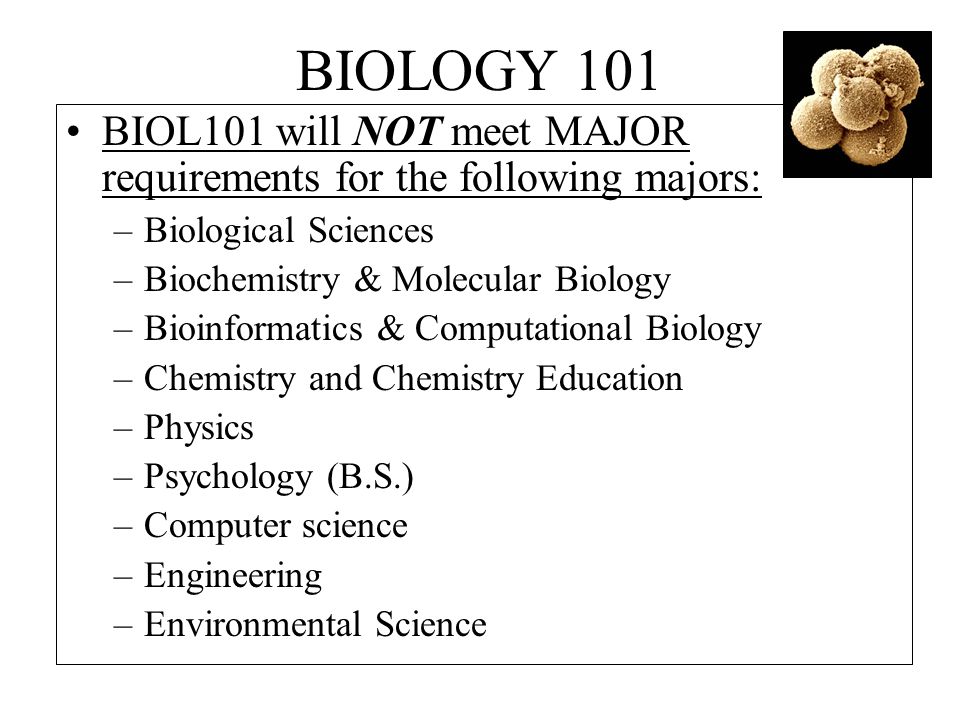 BIOLOGY 101 BIOL101 will NOT meet MAJOR requirements for the following majors: –Biological Sciences –Biochemistry & Molecular Biology –Bioinformatics & Computational Biology –Chemistry and Chemistry Education –Physics –Psychology (B.S.) –Computer science –Engineering –Environmental Science