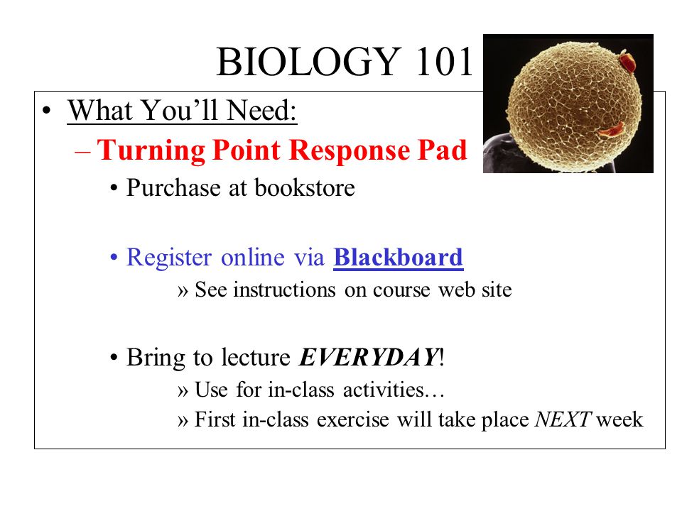 BIOLOGY 101 What You’ll Need: –Turning Point Response Pad Purchase at bookstore Register online via Blackboard »See instructions on course web site Bring to lecture EVERYDAY.