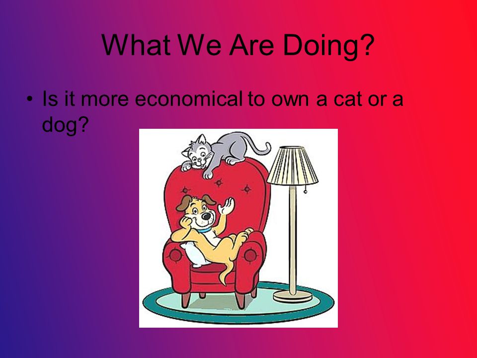 What We Are Doing Is it more economical to own a cat or a dog