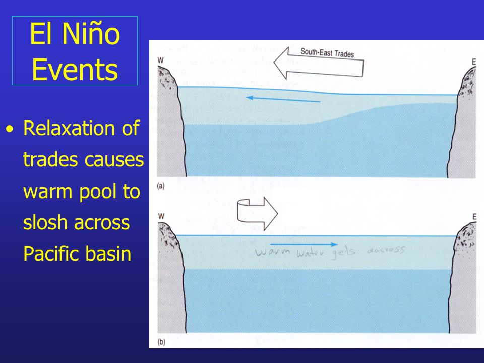 El Niño Events Relaxation of trades causes warm pool to slosh across Pacific basin