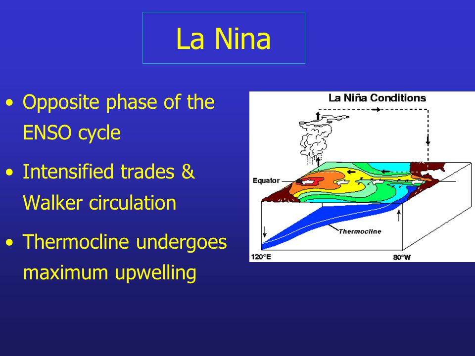 La Nina Opposite phase of the ENSO cycle Intensified trades & Walker circulation Thermocline undergoes maximum upwelling