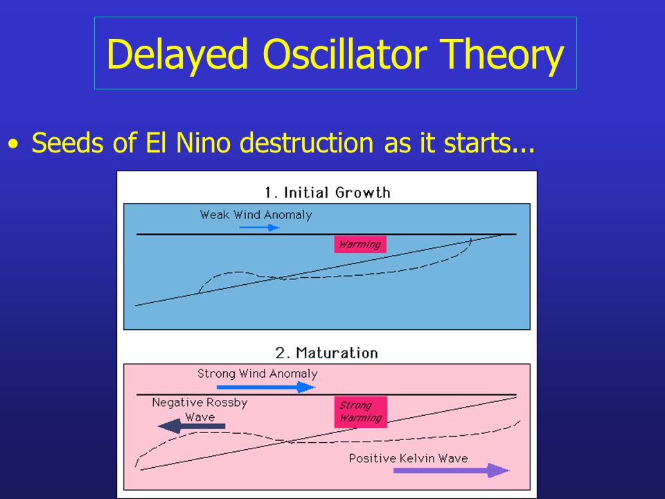 Delayed Oscillator Theory Seeds of El Nino destruction as it starts...