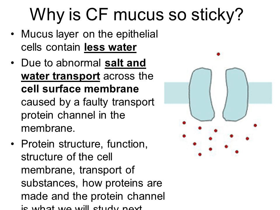 Why is CF mucus so sticky.