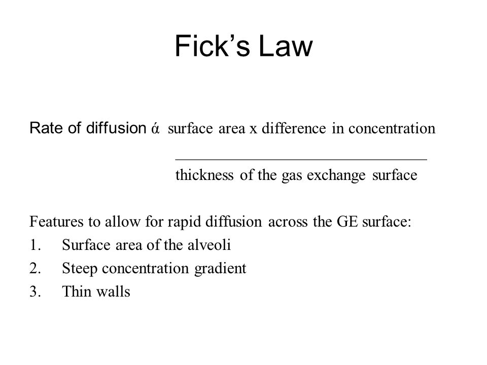 Fick’s Law Rate of diffusion ά surface area x difference in concentration _______________________________ thickness of the gas exchange surface Features to allow for rapid diffusion across the GE surface: 1.Surface area of the alveoli 2.Steep concentration gradient 3.Thin walls