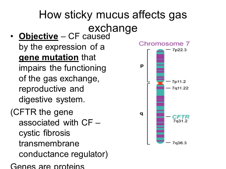 How sticky mucus affects gas exchange Objective – CF caused by the expression of a gene mutation that impairs the functioning of the gas exchange, reproductive and digestive system.