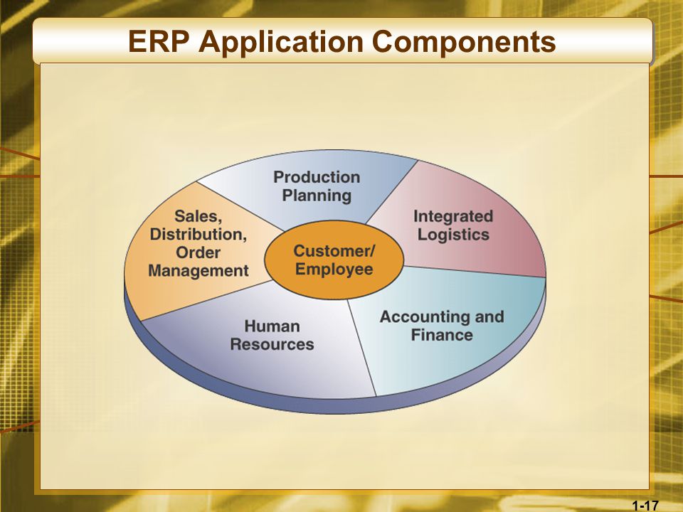 1-17 ERP Application Components