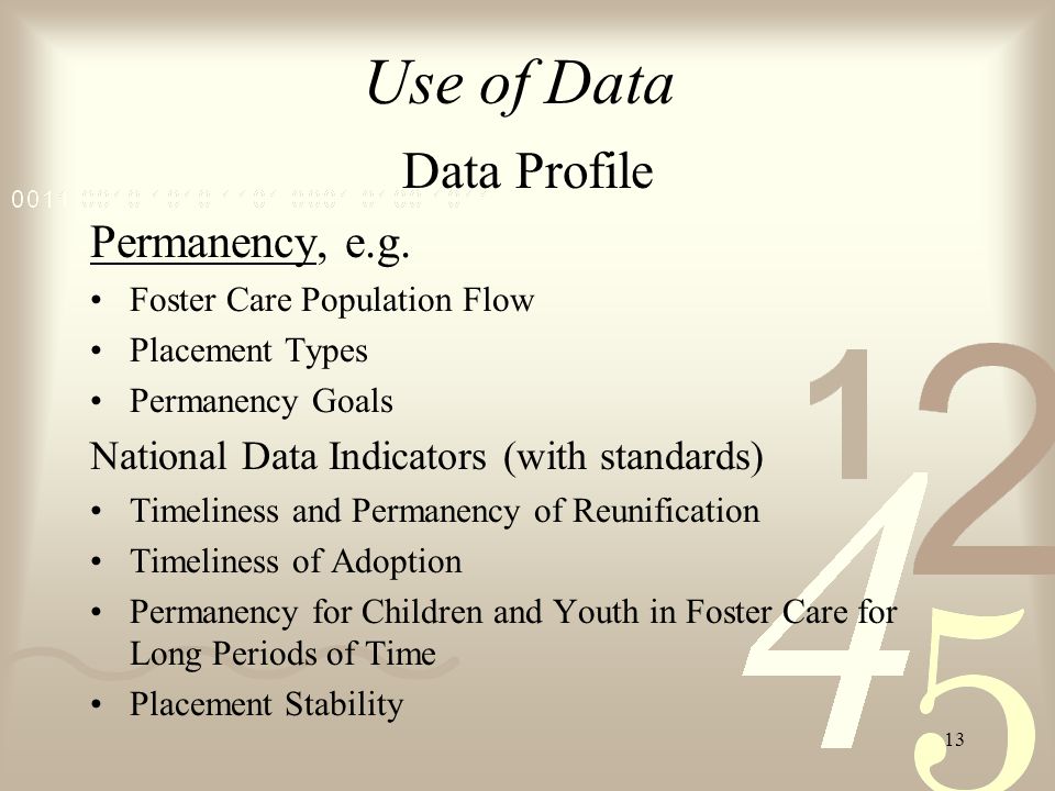13 Use of Data Data Profile Permanency, e.g.
