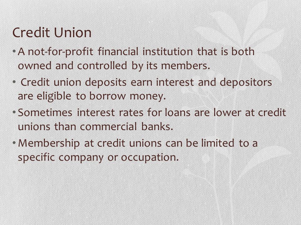 Credit Union A not-for-profit financial institution that is both owned and controlled by its members.