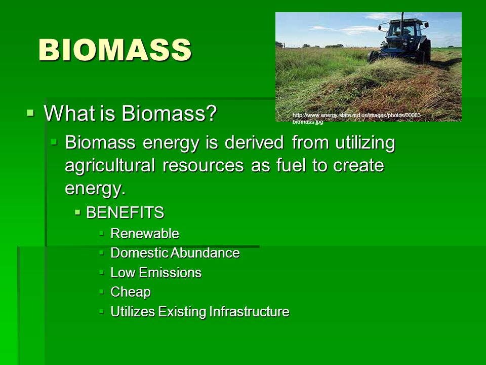 Biomass Energy For Kids Biomass Energy For Kids