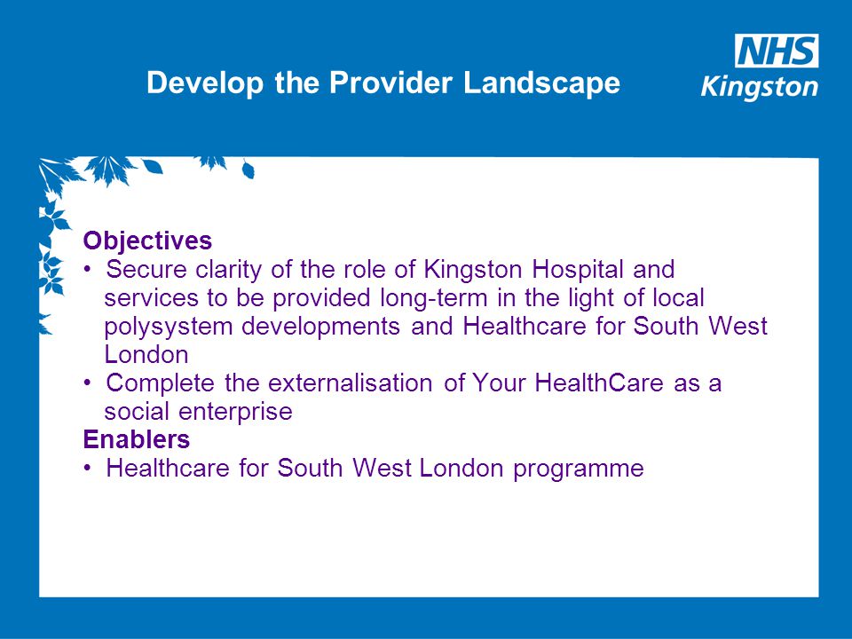 Develop the Provider Landscape Objectives Secure clarity of the role of Kingston Hospital and services to be provided long-term in the light of local polysystem developments and Healthcare for South West London Complete the externalisation of Your HealthCare as a social enterprise Enablers Healthcare for South West London programme