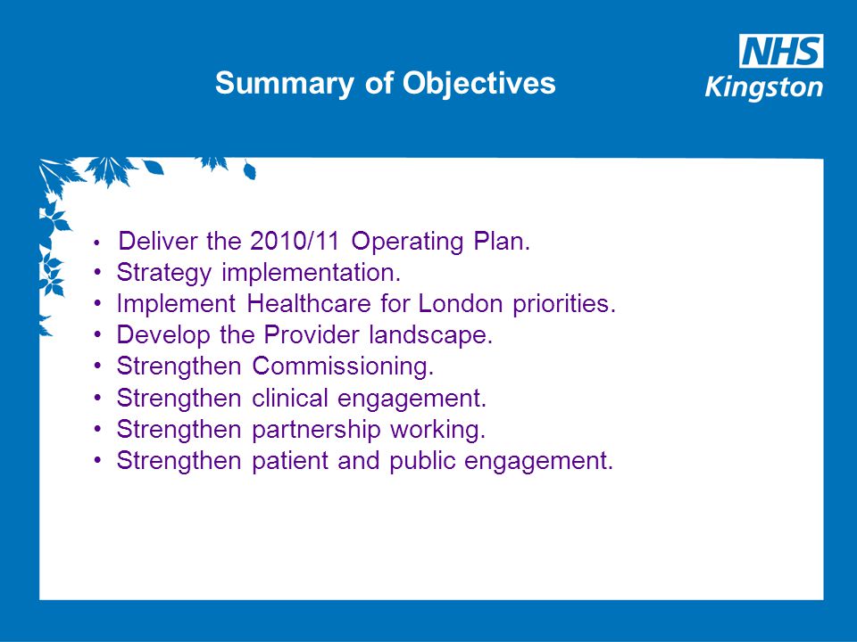 Summary of Objectives Deliver the 2010/11 Operating Plan.