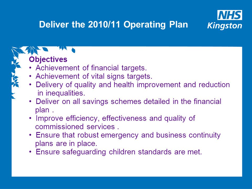 Deliver the 2010/11 Operating Plan Objectives Achievement of financial targets.