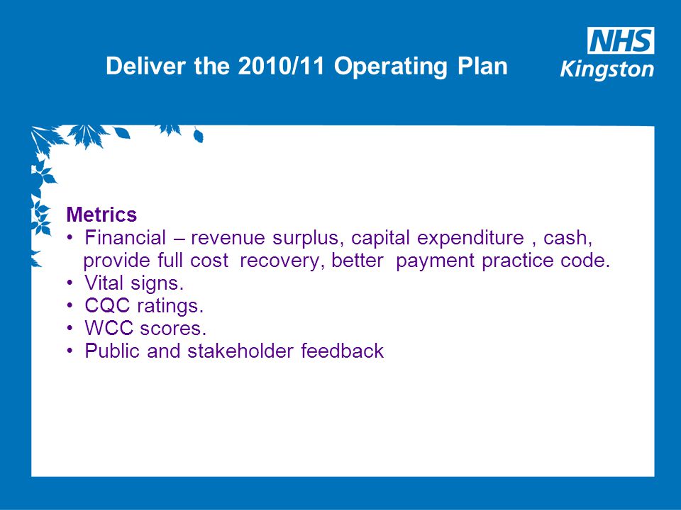 Deliver the 2010/11 Operating Plan Metrics Financial – revenue surplus, capital expenditure, cash, provide full cost recovery, better payment practice code.