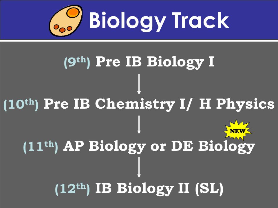 Biology Track (9 th ) Pre IB Biology I (10 th ) Pre IB Chemistry I/ H Physics (11 th ) AP Biology or DE Biology (12 th ) IB Biology II (SL) NEW