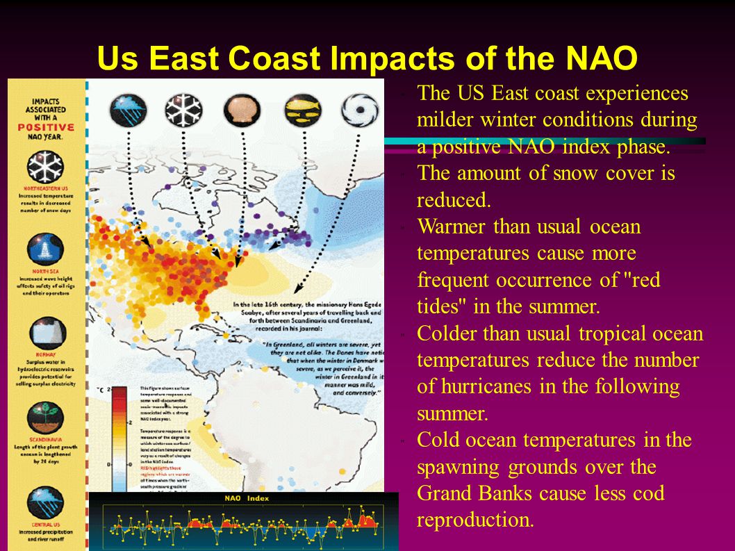 Us East Coast Impacts of the NAO The US East coast experiences milder winter conditions during a positive NAO index phase.