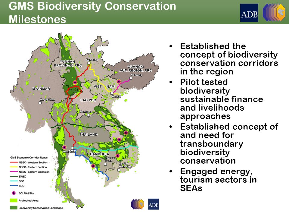 GMS Biodiversity Conservation Milestones Established the concept of biodiversity conservation corridors in the region Pilot tested biodiversity sustainable finance and livelihoods approaches Established concept of and need for transboundary biodiversity conservation Engaged energy, tourism sectors in SEAs