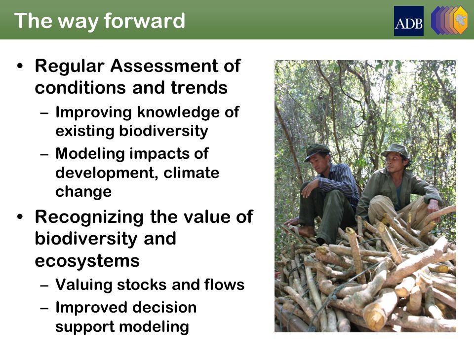 The way forward Regular Assessment of conditions and trends –Improving knowledge of existing biodiversity –Modeling impacts of development, climate change Recognizing the value of biodiversity and ecosystems –Valuing stocks and flows –Improved decision support modeling