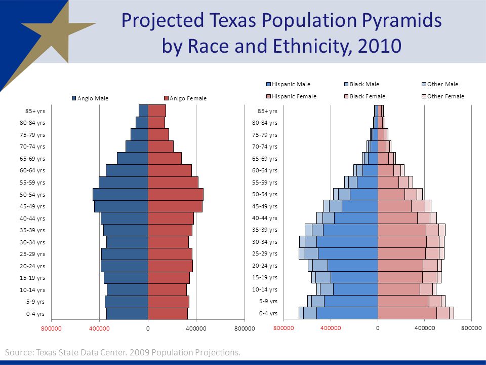 Projected Texas Population Pyramids by Race and Ethnicity, 2010 Source: Texas State Data Center.