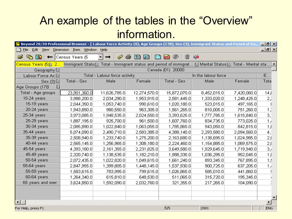 An example of the tables in the Overview information.