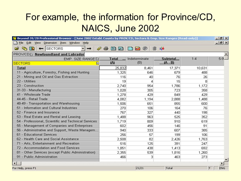For example, the information for Province/CD, NAICS, June 2002