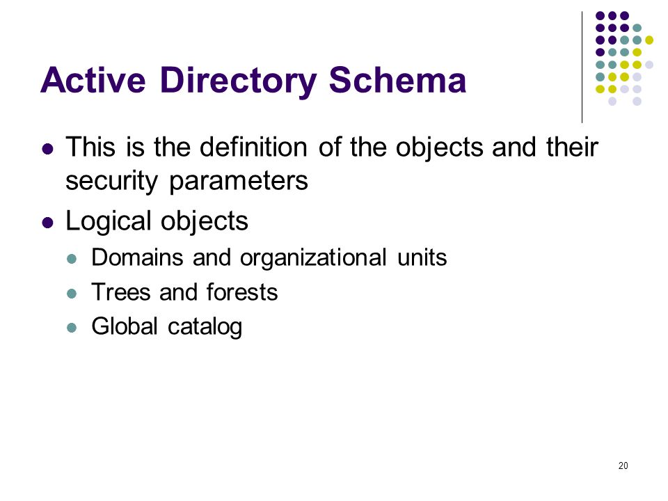 20 Active Directory Schema This is the definition of the objects and their security parameters Logical objects Domains and organizational units Trees and forests Global catalog