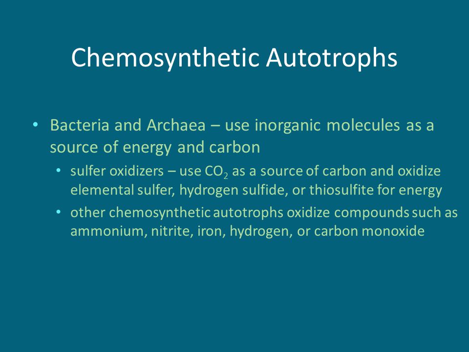 archaea chemosynthesis What is chemosynthesis they include bacteria and archaea: two groups of organisms that appear similar, but they are genetically and chemically different. archaea chemosynthesis What is chemosynthesis they include bacteria and archaea: two groups of organisms that appear similar, but they are genetically and chemically different.