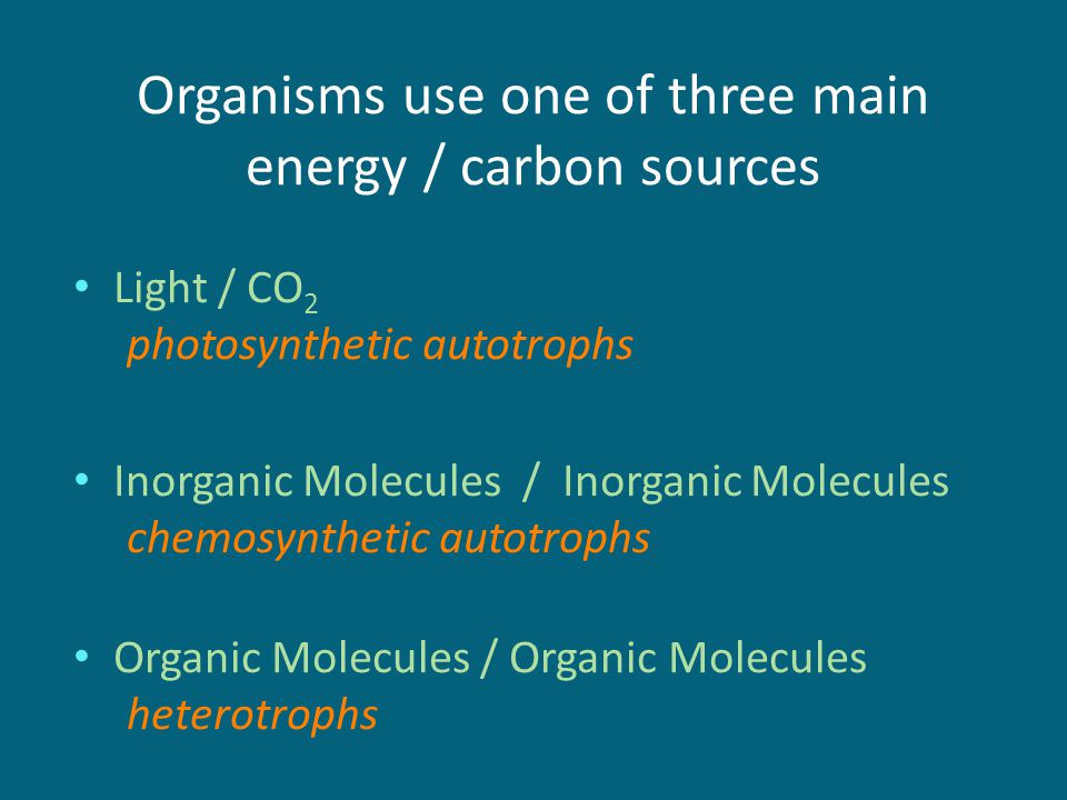 organisms that use chemosynthesis Chemosynthesis is a process of producing energy by burning chemicals it requires no sunlight and is typical for deep sea ecosystems near the hydrothermal vents. organisms that use chemosynthesis Chemosynthesis is a process of producing energy by burning chemicals it requires no sunlight and is typical for deep sea ecosystems near the hydrothermal vents.