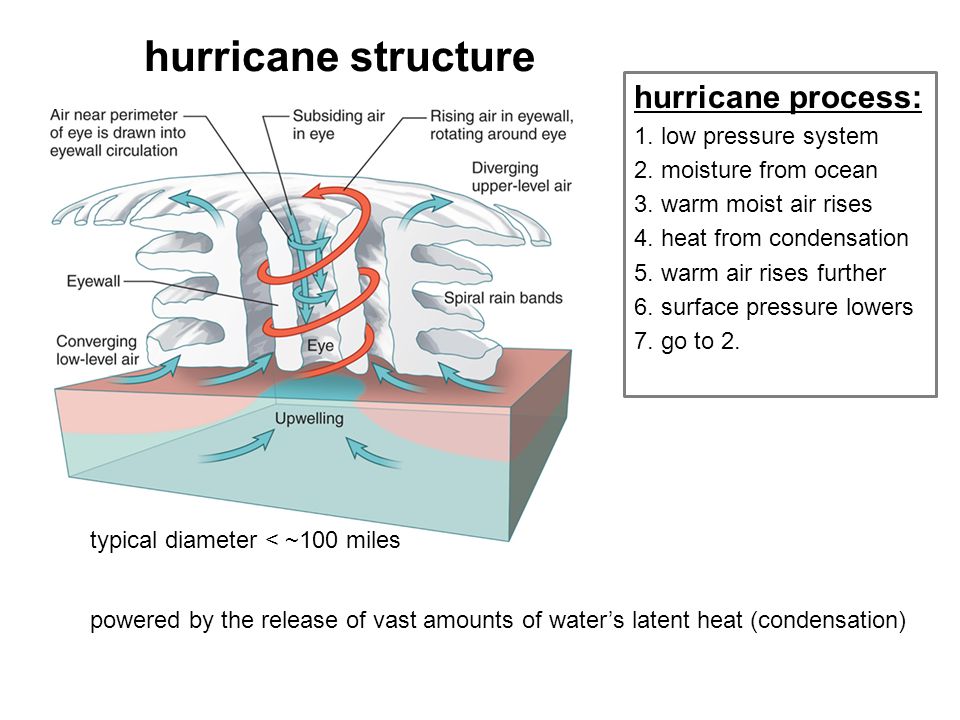 hurricane structure powered by the release of vast amounts of water’s latent heat (condensation) hurricane process: 1.