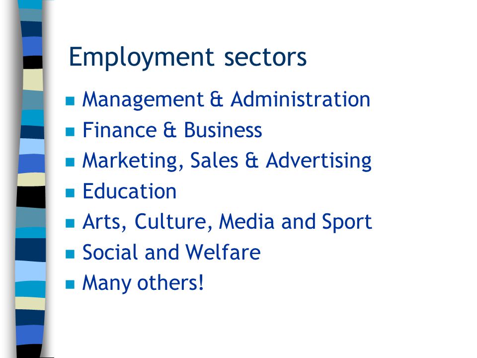 Employment sectors n Management & Administration n Finance & Business n Marketing, Sales & Advertising n Education n Arts, Culture, Media and Sport n Social and Welfare n Many others!