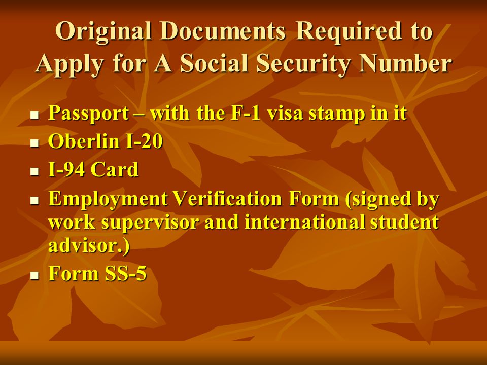 Passport – with the F-1 visa stamp in it Passport – with the F-1 visa stamp in it Oberlin I-20 Oberlin I-20 I-94 Card I-94 Card Employment Verification Form (signed by work supervisor and international student advisor.) Employment Verification Form (signed by work supervisor and international student advisor.) Form SS-5 Form SS-5 Original Documents Required to Apply for A Social Security Number